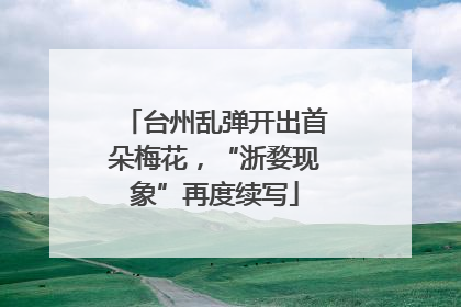 台州乱弹开出首朵梅花，“浙婺现象”再度续写