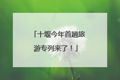 十堰今年首趟旅游专列来了！