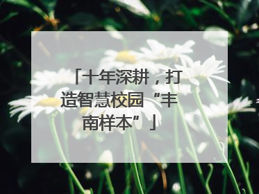 十年深耕，打造智慧校园“丰南样本”