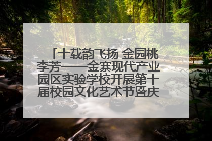 十载韵飞扬 金园桃李芳——金寨现代产业园区实验学校开展第十届校园文化艺术节暨庆“六一”系列活动