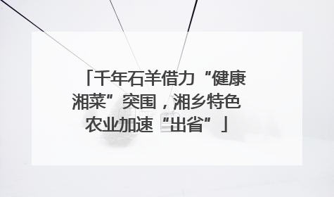 千年石羊借力“健康湘菜”突围，湘乡特色农业加速“出省”