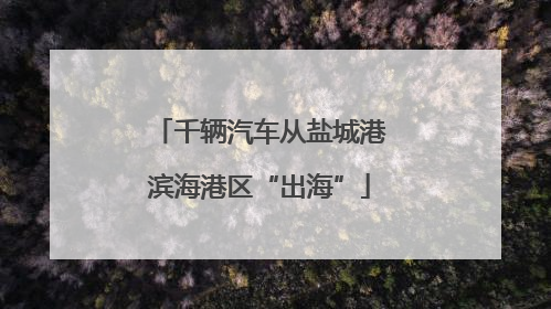 千辆汽车从盐城港滨海港区“出海”