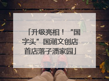 升级亮相！“国字头”国潮文创店首店落子潘家园