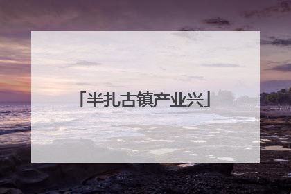 半扎古镇产业兴