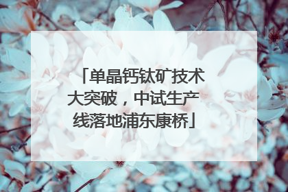 单晶钙钛矿技术大突破，中试生产线落地浦东康桥