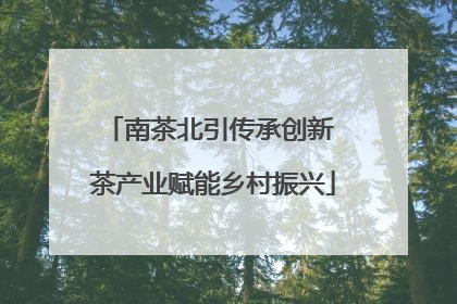 南茶北引传承创新 茶产业赋能乡村振兴