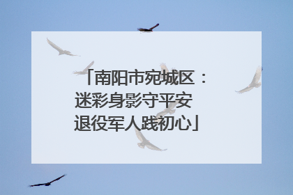 南阳市宛城区：迷彩身影守平安 退役军人践初心
