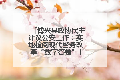 博兴县政协民主评议公安工作：实地检阅现代警务改革“数字答卷”