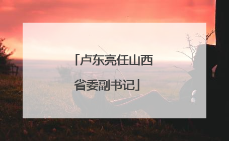 卢东亮任山西省委副书记