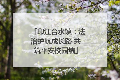 印江合水镇：法治护航成长路 共筑平安校园墙