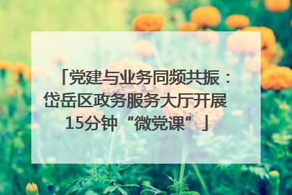 党建与业务同频共振：岱岳区政务服务大厅开展15分钟“微党课”