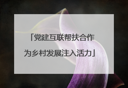 党建互联帮扶合作 为乡村发展注入活力