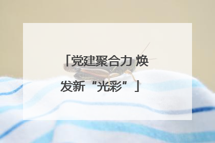 党建聚合力 焕发新“光彩”