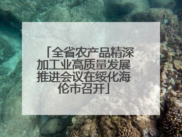 全省农产品精深加工业高质量发展推进会议在绥化海伦市召开