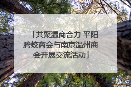共聚温商合力 平阳腾蛟商会与南京温州商会开展交流活动