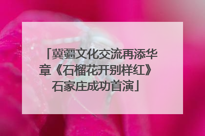 冀疆文化交流再添华章《石榴花开别样红》石家庄成功首演