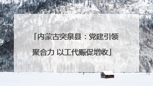 内蒙古突泉县：党建引领聚合力 以工代赈促增收