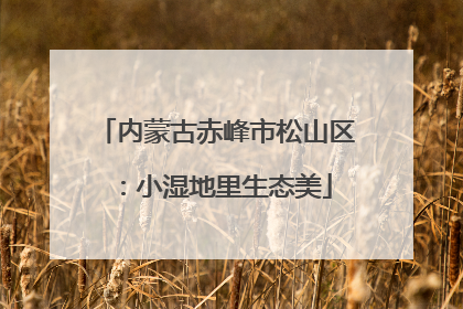 内蒙古赤峰市松山区：小湿地里生态美