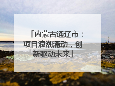 内蒙古通辽市：项目浪潮涌动，创新驱动未来