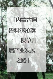内蒙古阿鲁科尔沁旗：一棵草开启产业发展之路