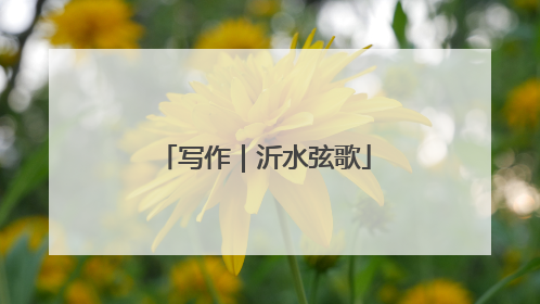 写作｜沂水弦歌