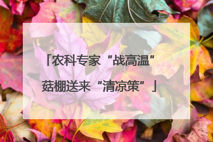 农科专家“战高温” 菇棚送来“清凉策”