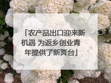 农产品出口迎来新机遇 为返乡创业青年提供了新舞台