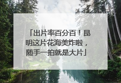 出片率百分百！昆明这片花海美炸啦，随手一拍就是大片
