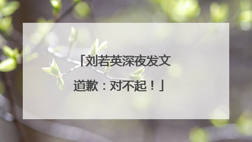 刘若英深夜发文道歉：对不起！