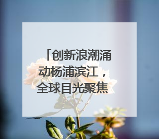 创新浪潮涌动杨浦滨江，全球目光聚焦“杨浦智造”｜相约复兴岛