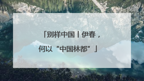 别样中国丨伊春，何以“中国林都”