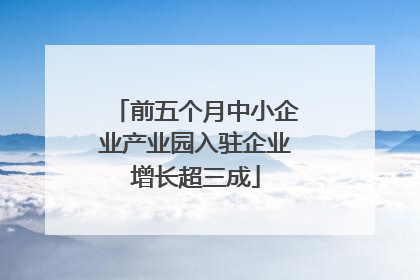 前五个月中小企业产业园入驻企业增长超三成