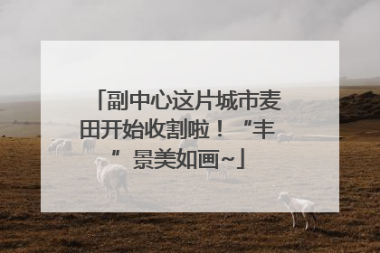 副中心这片城市麦田开始收割啦！“丰”景美如画~