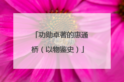 功勋卓著的惠通桥（以物鉴史）