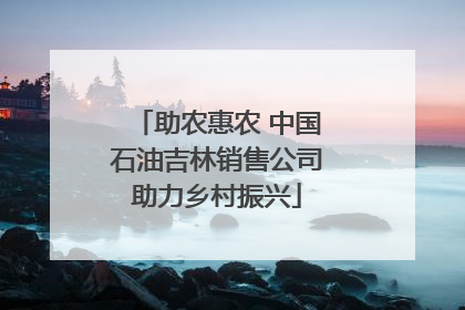 助农惠农 中国石油吉林销售公司助力乡村振兴