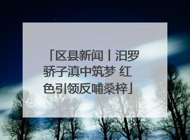 区县新闻丨汨罗骄子滇中筑梦 红色引领反哺桑梓