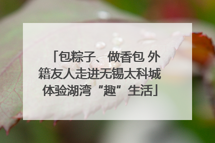 包粽子、做香包 外籍友人走进无锡太科城体验湖湾“趣”生活