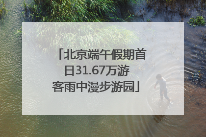 北京端午假期首日31.67万游客雨中漫步游园