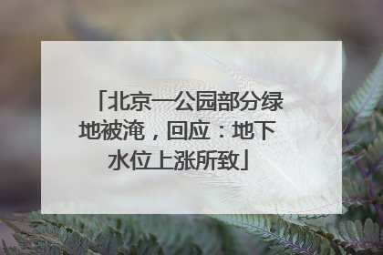 北京一公园部分绿地被淹，回应：地下水位上涨所致