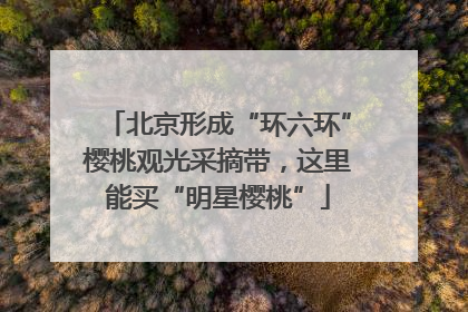 北京形成“环六环”樱桃观光采摘带，这里能买“明星樱桃”