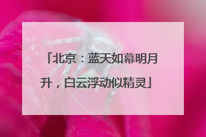 北京：蓝天如幕明月升，白云浮动似精灵