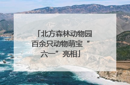 北方森林动物园百余只动物萌宝“六一”亮相