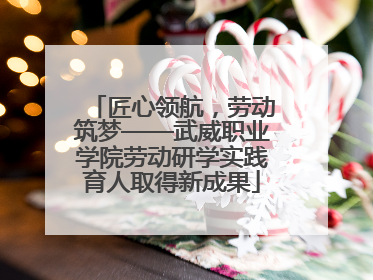 匠心领航，劳动筑梦——武威职业学院劳动研学实践育人取得新成果