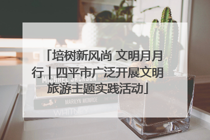 培树新风尚 文明月月行｜四平市广泛开展文明旅游主题实践活动