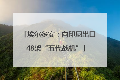 埃尔多安：向印尼出口48架“五代战机”