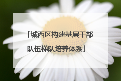 城西区构建基层干部队伍梯队培养体系
