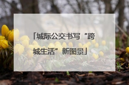 城际公交书写“跨城生活”新图景