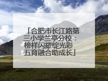 合肥市长江路第三小学兰亭分校：榜样闪耀绽光彩 五育融合助成长