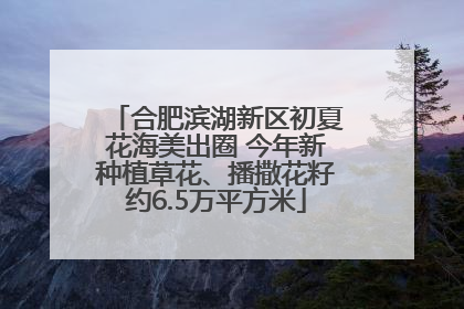 合肥滨湖新区初夏花海美出圈 今年新种植草花、播撒花籽约6.5万平方米
