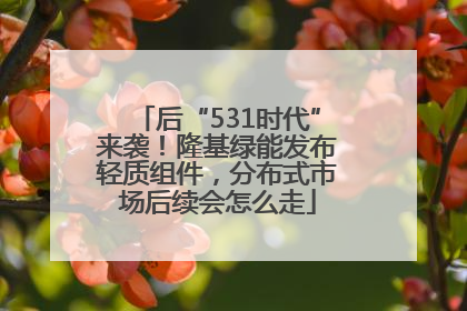 后“531时代”来袭！隆基绿能发布轻质组件，分布式市场后续会怎么走